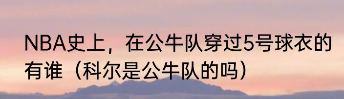 NBA史上，在公牛队穿过5号球衣的有谁（科尔是公牛队的吗）
