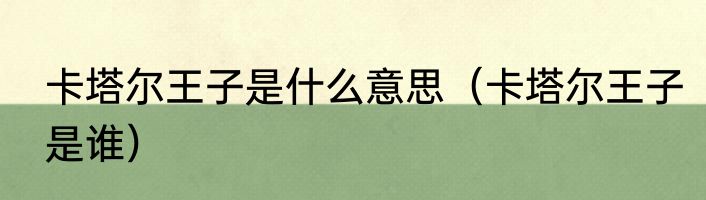 卡塔尔王子是什么意思（卡塔尔王子是谁）