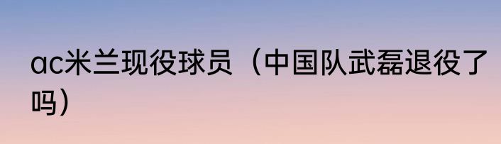 ac米兰现役球员（中国队武磊退役了吗）