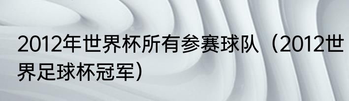2012年世界杯所有参赛球队（2012世界足球杯冠军）