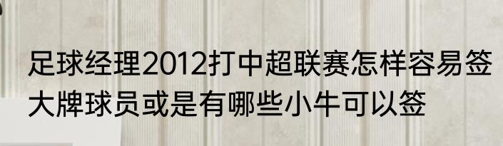 足球经理2012打中超联赛怎样容易签大牌球员或是有哪些小牛可以签