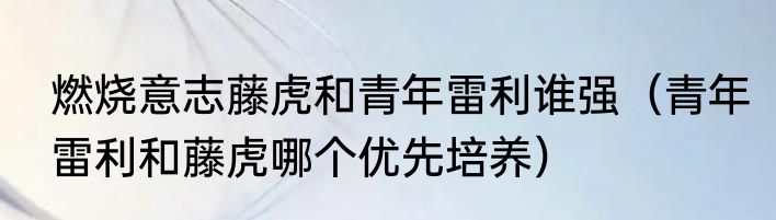 燃烧意志藤虎和青年雷利谁强（青年雷利和藤虎哪个优先培养）