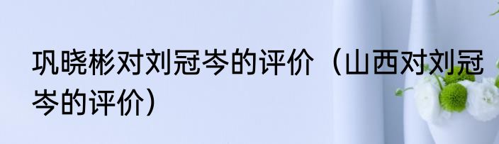 巩晓彬对刘冠岑的评价（山西对刘冠岑的评价）