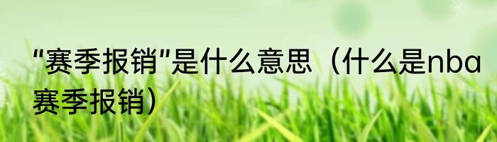 “赛季报销”是什么意思（什么是nba赛季报销）