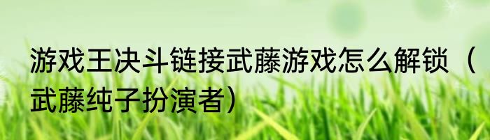游戏王决斗链接武藤游戏怎么解锁（武藤纯子扮演者）