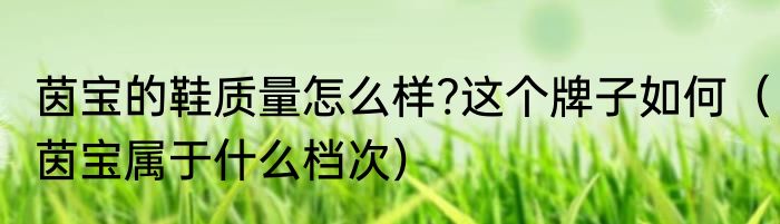 茵宝的鞋质量怎么样?这个牌子如何（茵宝属于什么档次）