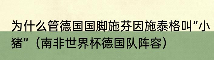 为什么管德国国脚施芬因施泰格叫“小猪”（南非世界杯德国队阵容）