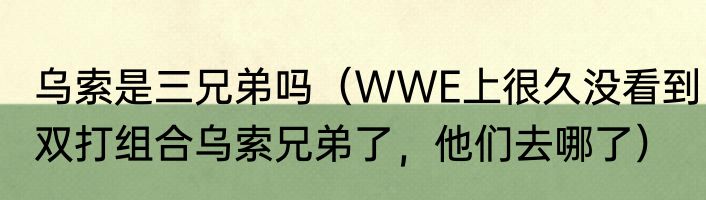 乌索是三兄弟吗（WWE上很久没看到双打组合乌索兄弟了，他们去哪了）