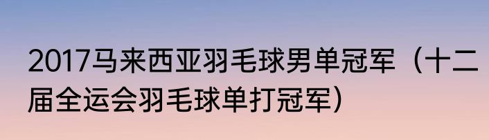 2017马来西亚羽毛球男单冠军（十二届全运会羽毛球单打冠军）