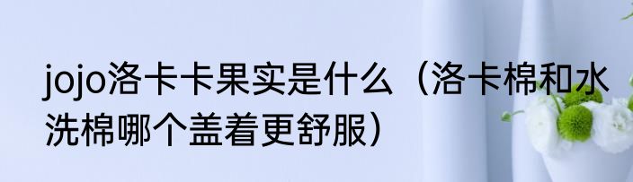 jojo洛卡卡果实是什么（洛卡棉和水洗棉哪个盖着更舒服）