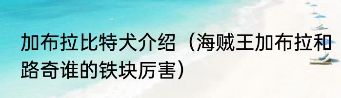 加布拉比特犬介绍（海贼王加布拉和路奇谁的铁块厉害）