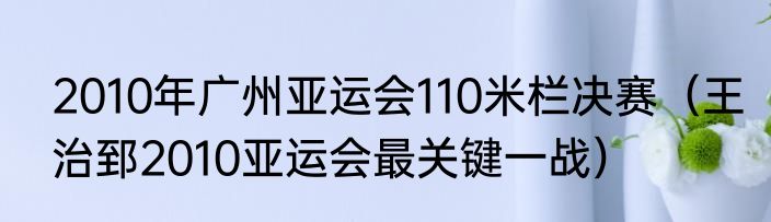 2010年广州亚运会110米栏决赛（王治郅2010亚运会最关键一战）