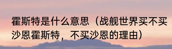 霍斯特是什么意思（战舰世界买不买沙恩霍斯特，不买沙恩的理由）