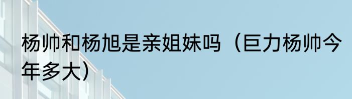 杨帅和杨旭是亲姐妹吗（巨力杨帅今年多大）