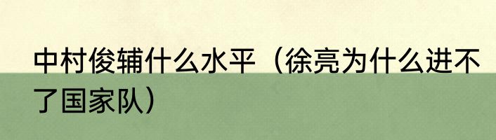 中村俊辅什么水平（徐亮为什么进不了国家队）