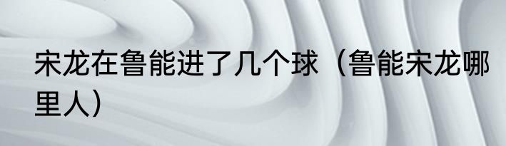 宋龙在鲁能进了几个球（鲁能宋龙哪里人）