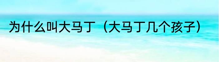 为什么叫大马丁（大马丁几个孩子）