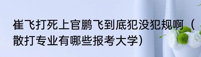 崔飞打死上官鹏飞到底犯没犯规啊（散打专业有哪些报考大学）