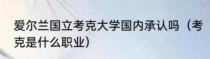 爱尔兰国立考克大学国内承认吗（考克是什么职业）