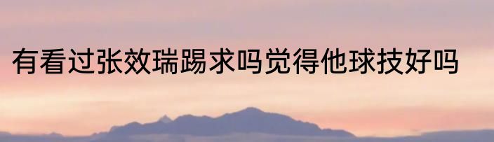 有看过张效瑞踢求吗觉得他球技好吗