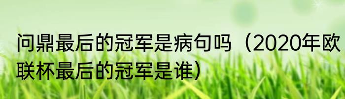 问鼎最后的冠军是病句吗（2020年欧联杯最后的冠军是谁）