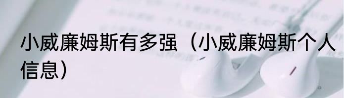 小威廉姆斯有多强（小威廉姆斯个人信息）