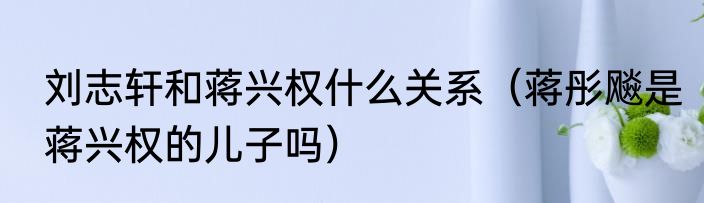 刘志轩和蒋兴权什么关系（蒋彤飚是蒋兴权的儿子吗）