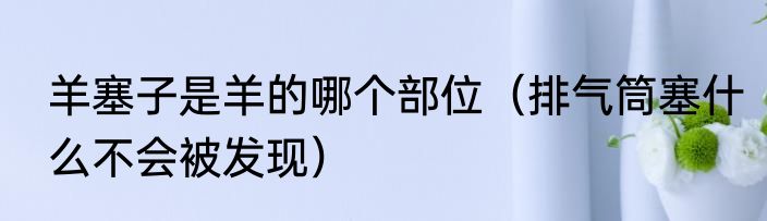 羊塞子是羊的哪个部位（排气筒塞什么不会被发现）