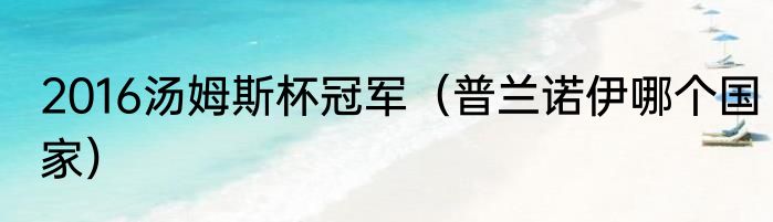 2016汤姆斯杯冠军（普兰诺伊哪个国家）