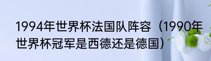 1994年世界杯法国队阵容（1990年世界杯冠军是西德还是德国）