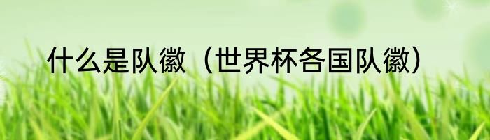 什么是队徽（世界杯各国队徽）