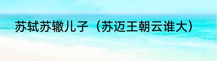 苏轼苏辙儿子（苏迈王朝云谁大）