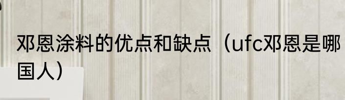 邓恩涂料的优点和缺点（ufc邓恩是哪国人）