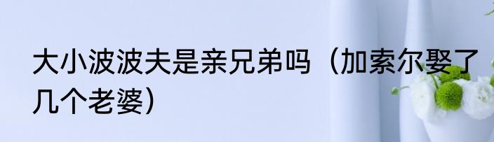 大小波波夫是亲兄弟吗（加索尔娶了几个老婆）