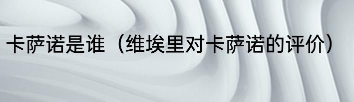 卡萨诺是谁（维埃里对卡萨诺的评价）