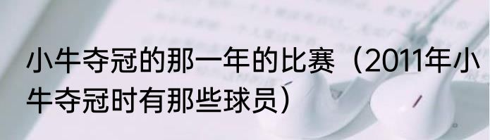 小牛夺冠的那一年的比赛（2011年小牛夺冠时有那些球员）