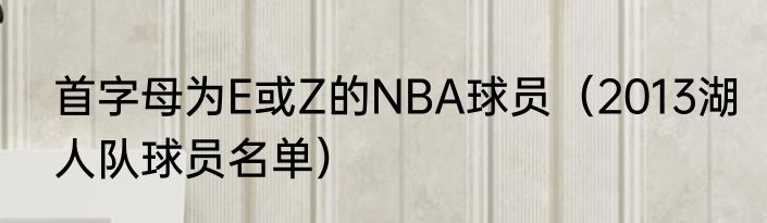 首字母为E或Z的NBA球员（2013湖人队球员名单）