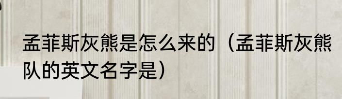 孟菲斯灰熊是怎么来的（孟菲斯灰熊队的英文名字是）