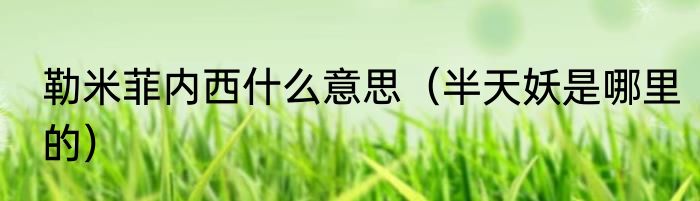 勒米菲内西什么意思（半天妖是哪里的）