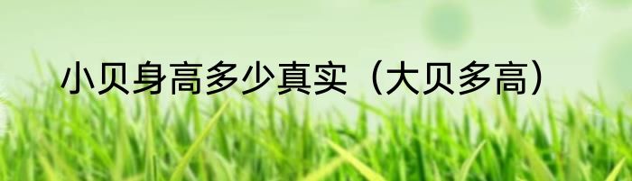 小贝身高多少真实（大贝多高）