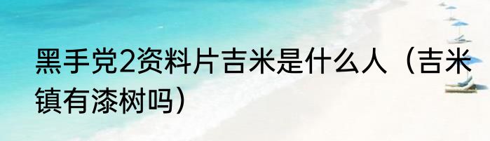 黑手党2资料片吉米是什么人（吉米镇有漆树吗）
