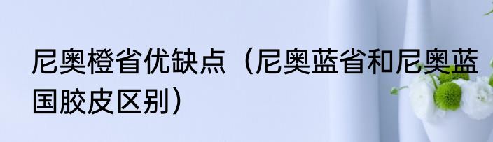尼奥橙省优缺点（尼奥蓝省和尼奥蓝国胶皮区别）