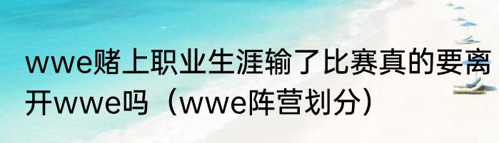 wwe赌上职业生涯输了比赛真的要离开wwe吗（wwe阵营划分）
