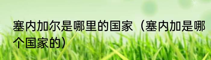 塞内加尔是哪里的国家（塞内加是哪个国家的）