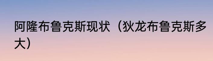 阿隆布鲁克斯现状（狄龙布鲁克斯多大）