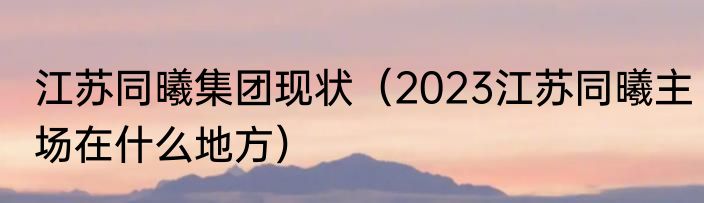 江苏同曦集团现状（2023江苏同曦主场在什么地方）