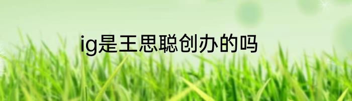 ig是王思聪创办的吗