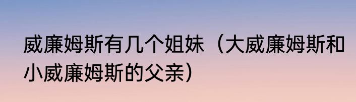 威廉姆斯有几个姐妹（大威廉姆斯和小威廉姆斯的父亲）