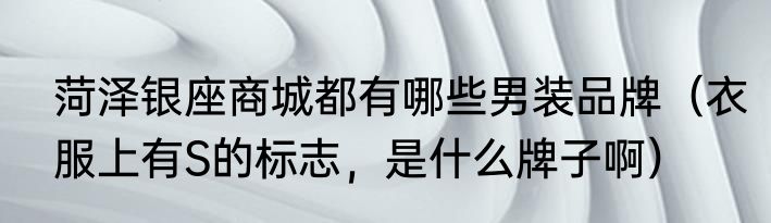 菏泽银座商城都有哪些男装品牌（衣服上有S的标志，是什么牌子啊）