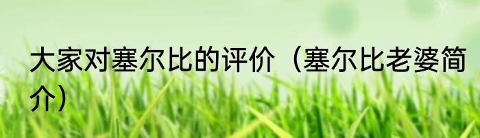 大家对塞尔比的评价（塞尔比老婆简介）